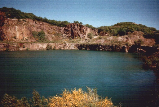 Ophalsøen