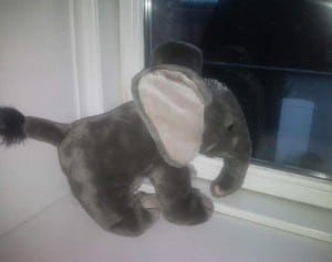 Den lille elefant gad ikke ud og lege!