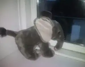 Den lille elefant gad ikke ud og lege!