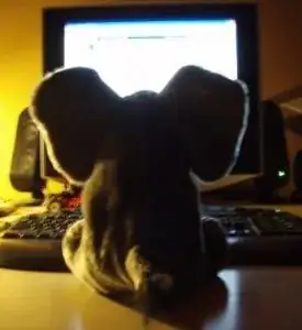 Jumbo læser på computeren