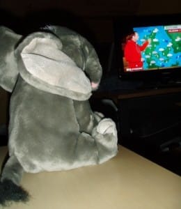 Elefanten får firkantede øjne!