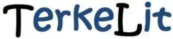 TerkeLit IT Support