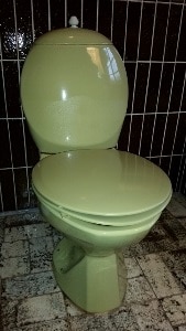 Grønt toilet