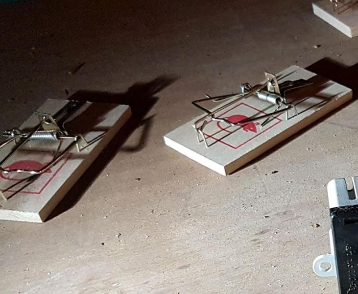 Musefælde til bekæmpelse af mus